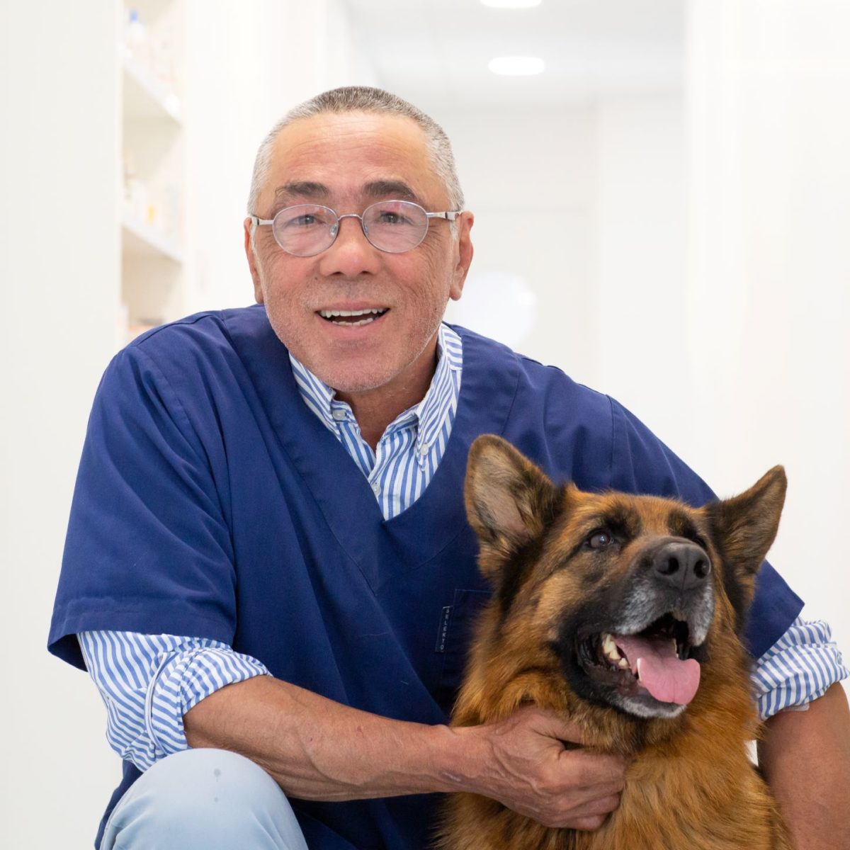 Dr Philippe TRAN - www.vet-bayeux.fr